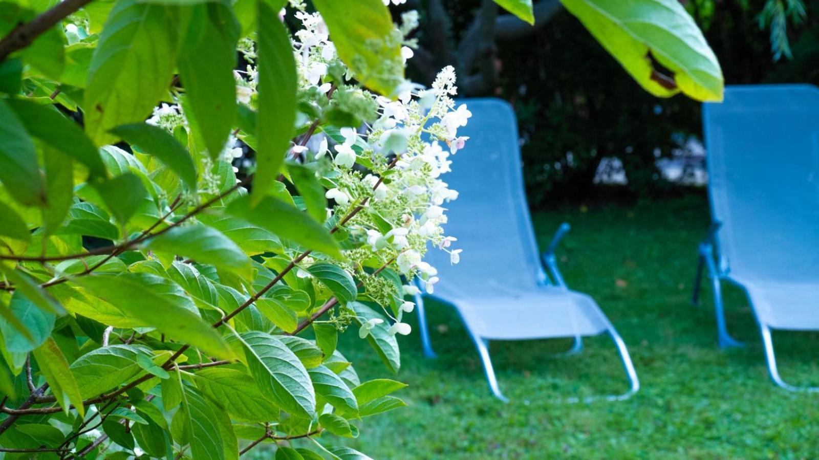 גראץ Hotel Villa Rueckert מראה חיצוני תמונה